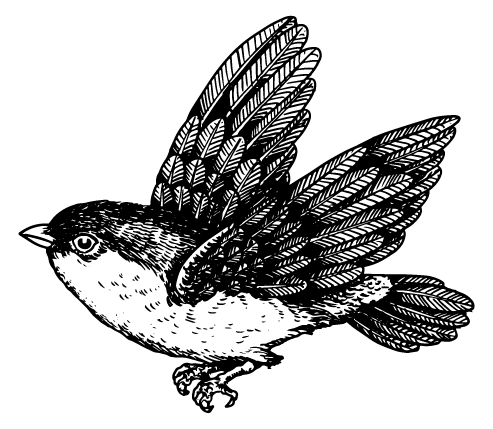 Little Sparrow Logo