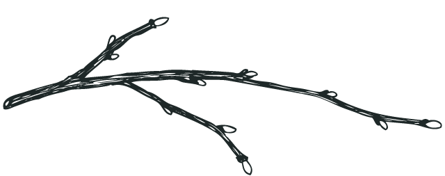 branch white detail